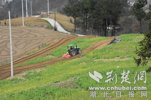 圖為開展綠肥翻壓（圖片由十堰市局提供）.jpg