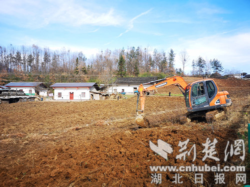 圖為煙農挖掘機在煙開展深耕凍垡。（圖片由十堰市局提供）.jpg