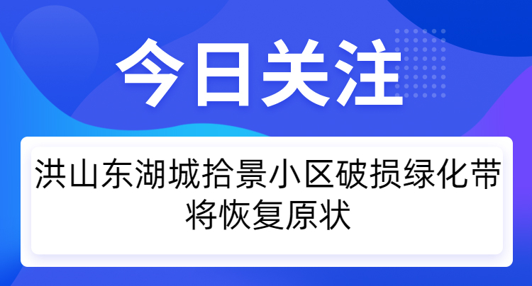 今日關注h (5).jpeg