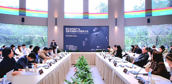 湖北省電影產業創新發展模式專題研討會現場。張文琛 攝.jpg