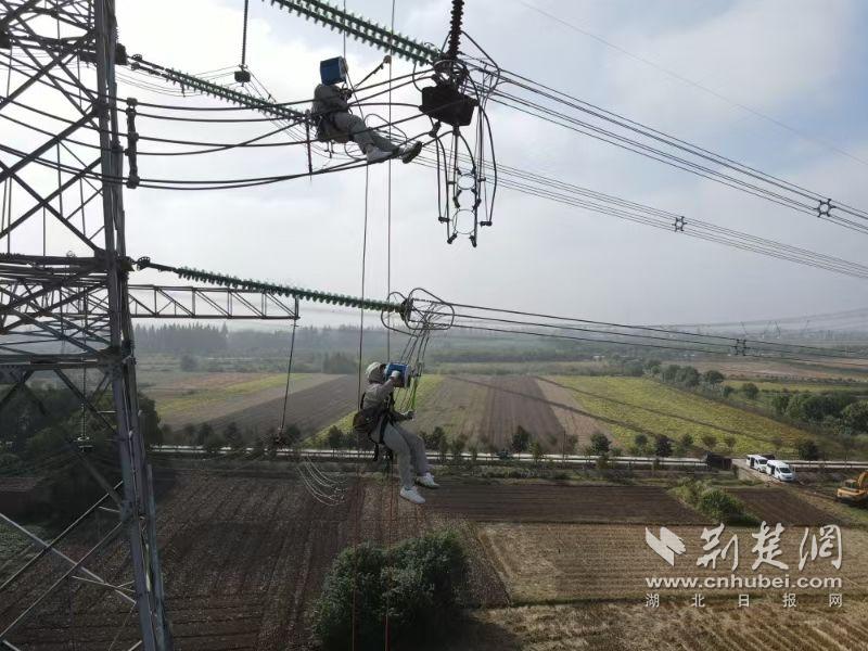 圖4:10月18日,在湖北省荊州市500千伏漁興三回387號塔,國網湖北送變電公司帶電作業班開展帶電消缺作業。(湖北送變電公司供