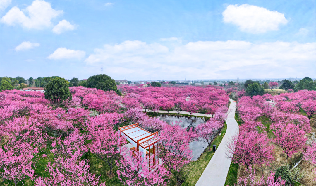 640?wx_fmt=png&from=appmsg&tp=wxpic&wxfrom=5&wx_lazy=1&wx_co=1