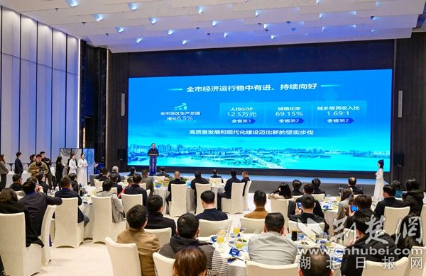 B 2025年長三角鄂州企業家招商、返鄉創業政策推介現場。1(1).jpg.jpg