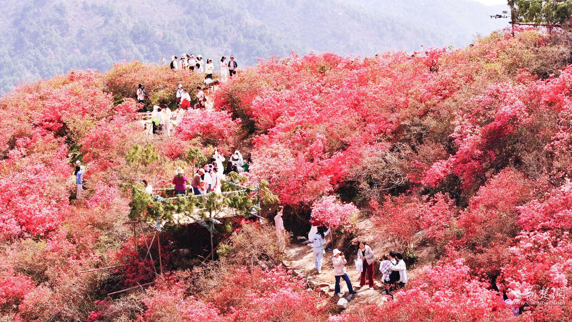 dji_fly_20250322_110224_0154_1742617436562_photo-opq3531340001.j