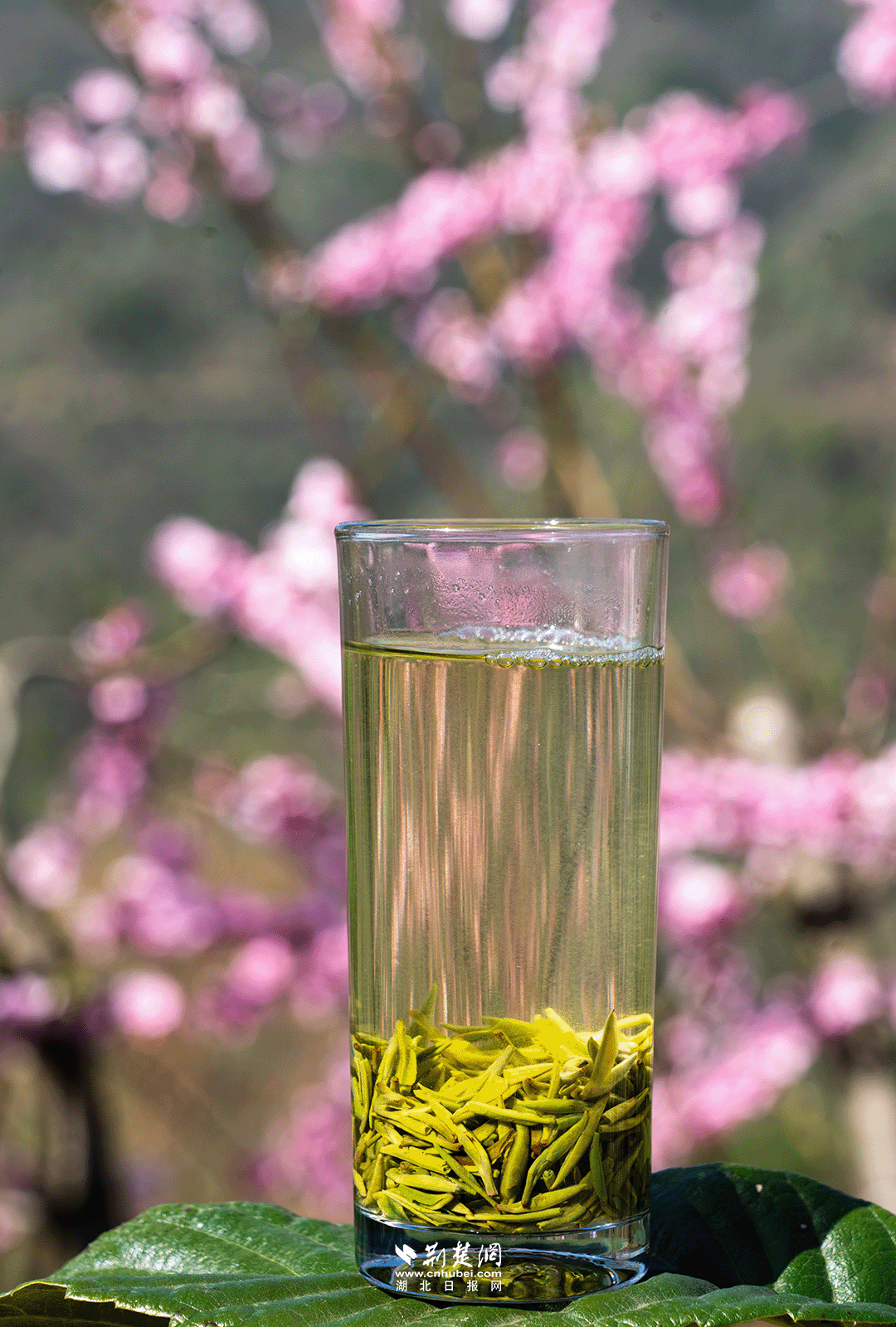 640?wx_fmt=png&from=appmsg&&wxfrom=5&wx_lazy=1&wx_co=1