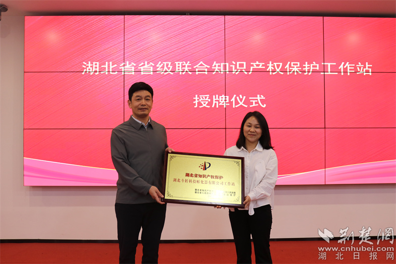 武昌區市場監管局相關負責人為第二批省級聯合知識產權保護工作站(斗轉科技園)授牌.jpg