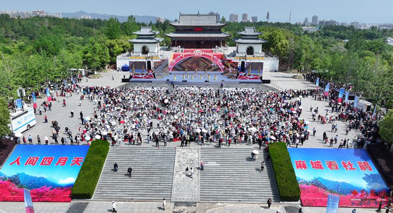 楊金洲攝 (14)_副本.jpg