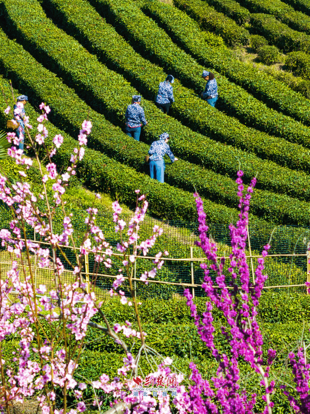 640?wx_fmt=png&from=appmsg&&wxfrom=5&wx_lazy=1&wx_co=1