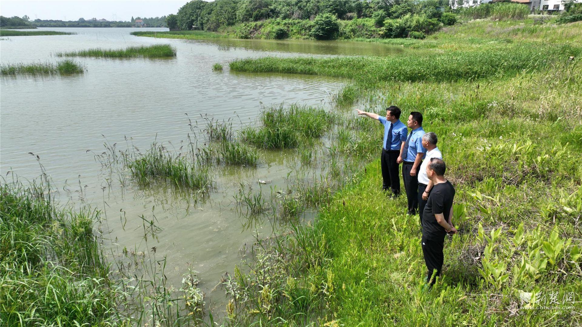 黃州區(qū)檢察院邀請區(qū)人大代表陳國民、秦幼華一同前往長河南湖橋河段開展公益訴訟“回頭看”活動.jpg.jpg
