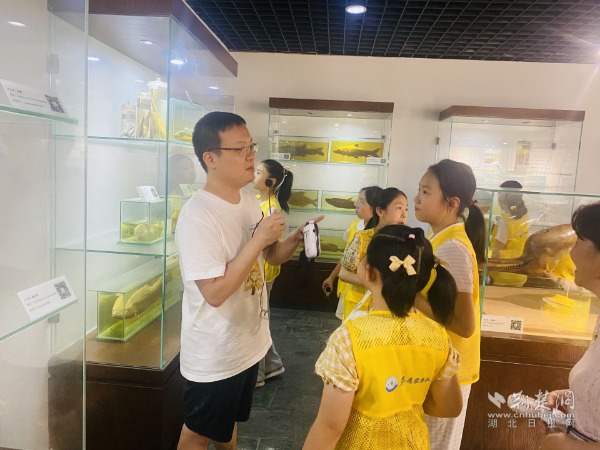 a05bd874c368cc4bee9185fe278b8211_600X450_20250728191321