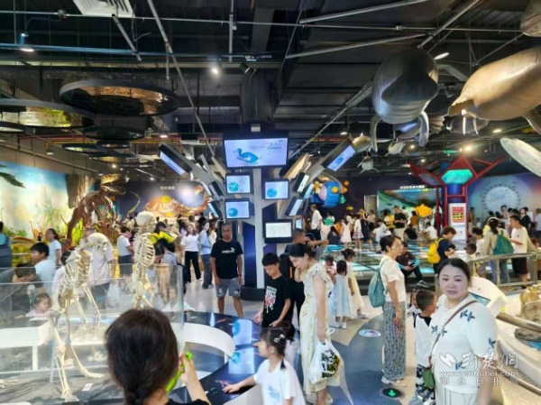 3e8605de7b93eb636b0d3550fc68e70c_600X449_20250728155522