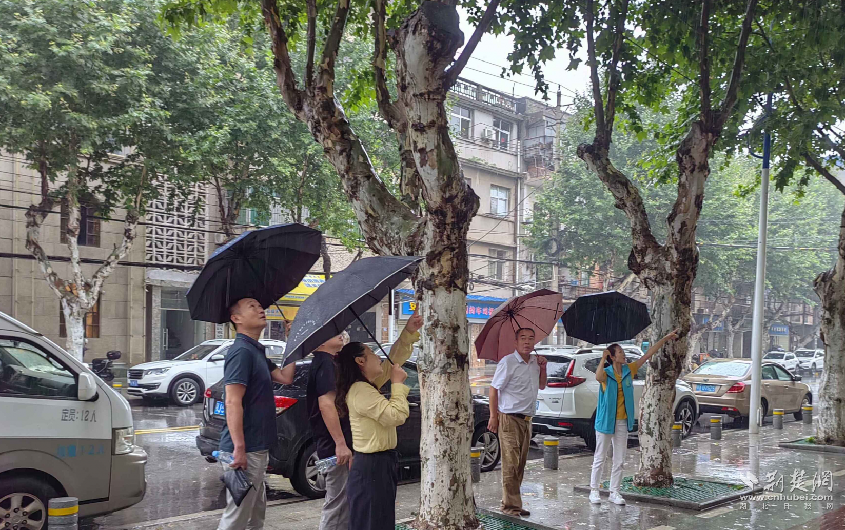 45d8b562de40ca6da91e8a0a68160082_1647X1034_20250722130843