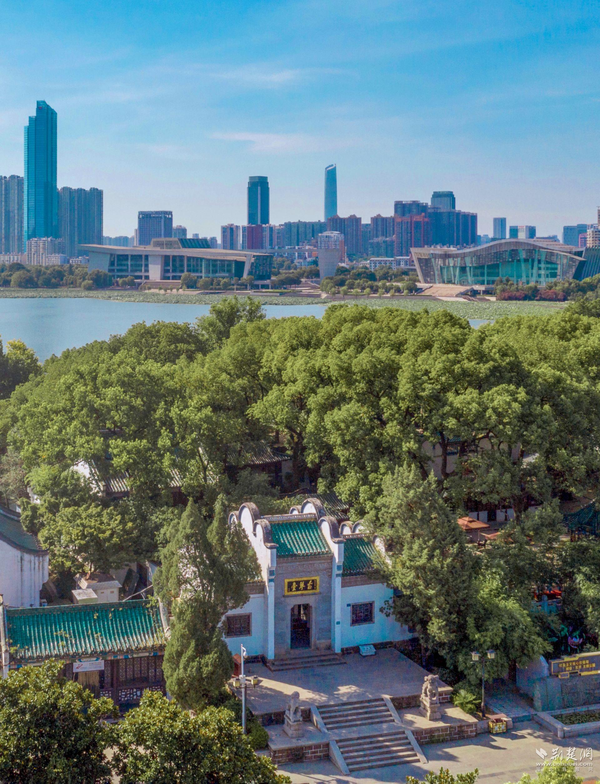 c901755972292efd80f97b605ebc5ada (1).jpg.jpg