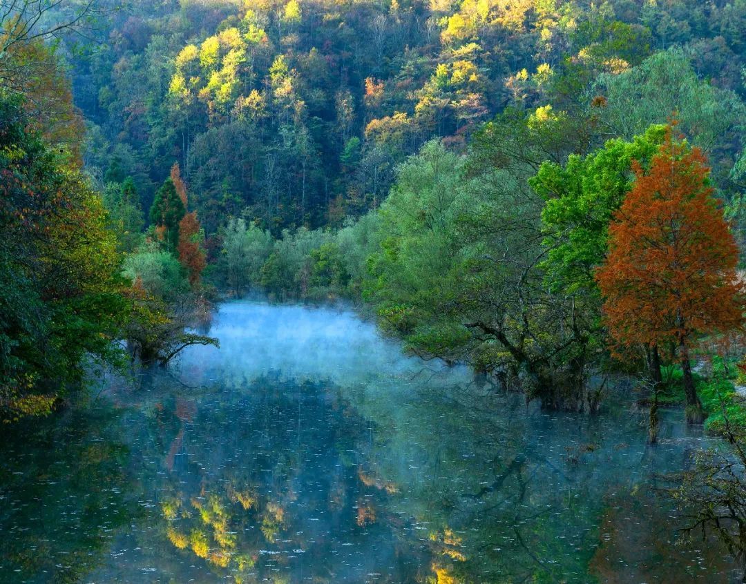 640?wx_fmt=jpeg&from=appmsg&&wxfrom=5&wx_lazy=1