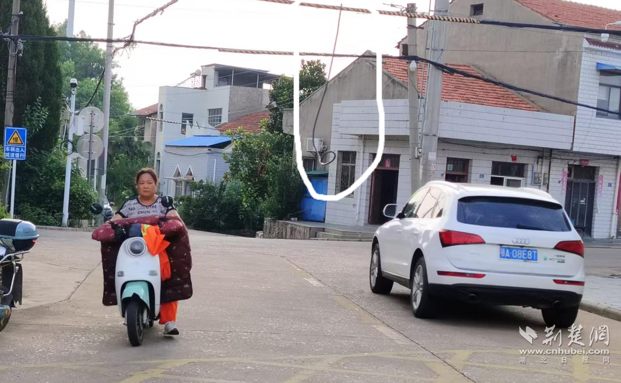 6c771f17b4b2d5a69635445db5bb4c5f_1251X772_20250811132338