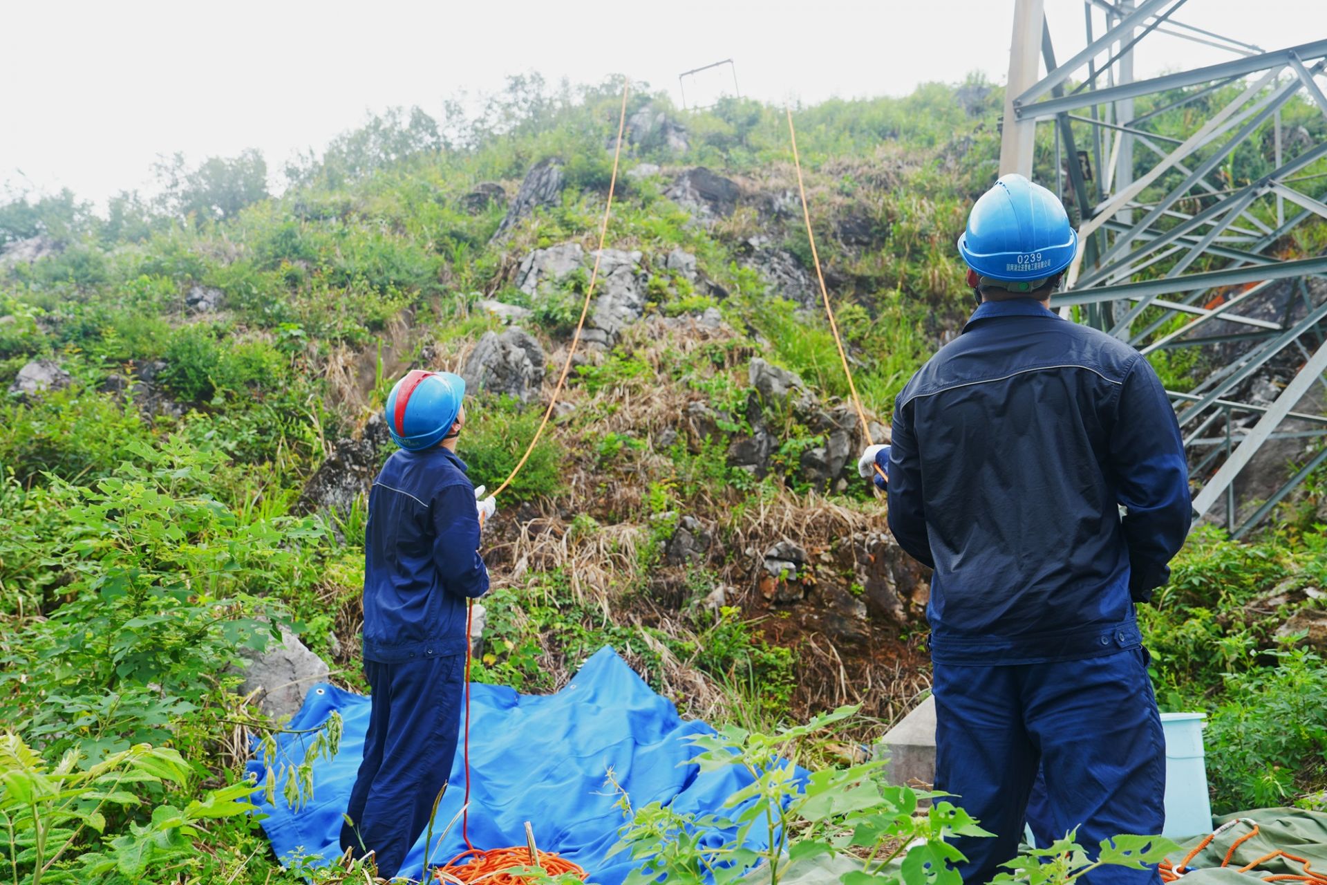 圖3：塔下作業(yè)人員往塔上傳遞作業(yè)工器具。（郭暉  攝）.JPG.JPG