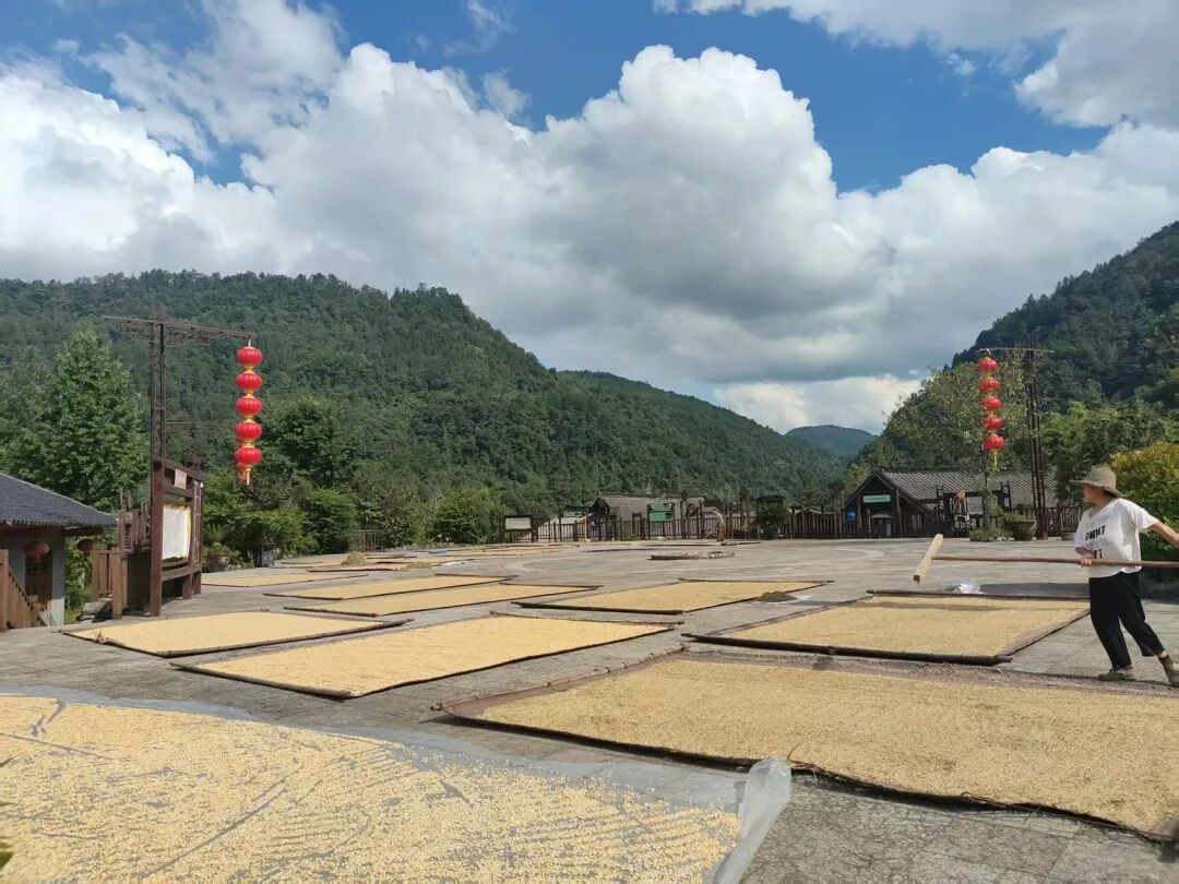 640?wx_fmt=jpeg&from=appmsg&&wxfrom=5&wx_lazy=1#imgIndex=5