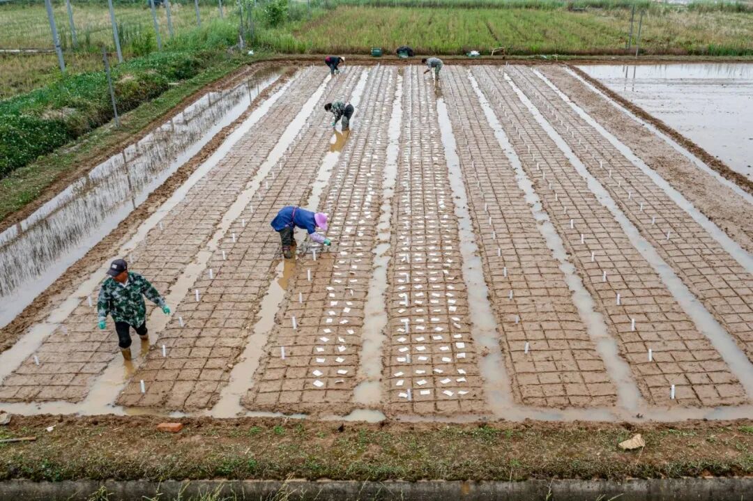 640?wx_fmt=jpeg&from=appmsg&tp=wxpic&wxfrom=5&wx_lazy=1#imgIndex