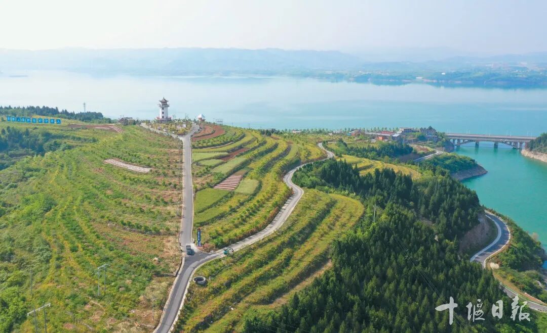 640?wx_fmt=jpeg&from=appmsg&&wxfrom=5&wx_lazy=1#imgIndex=8