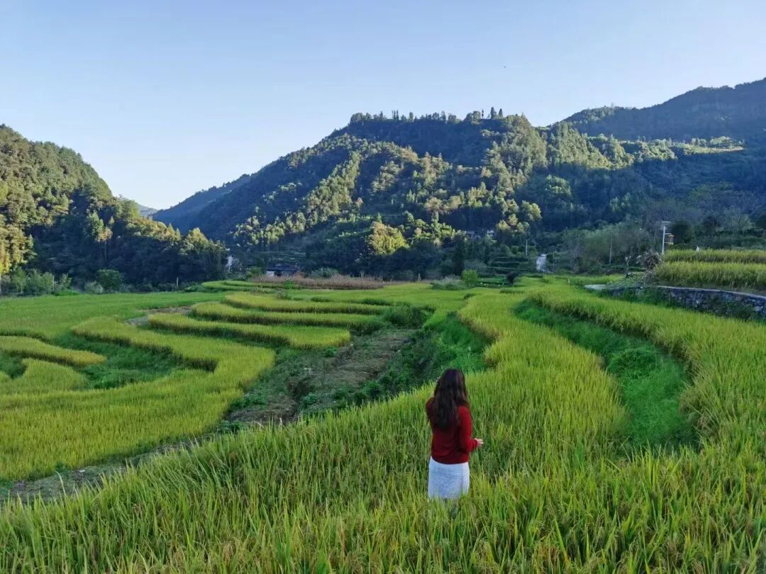 640?wx_fmt=jpeg&from=appmsg&&wxfrom=5&wx_lazy=1#imgIndex=2