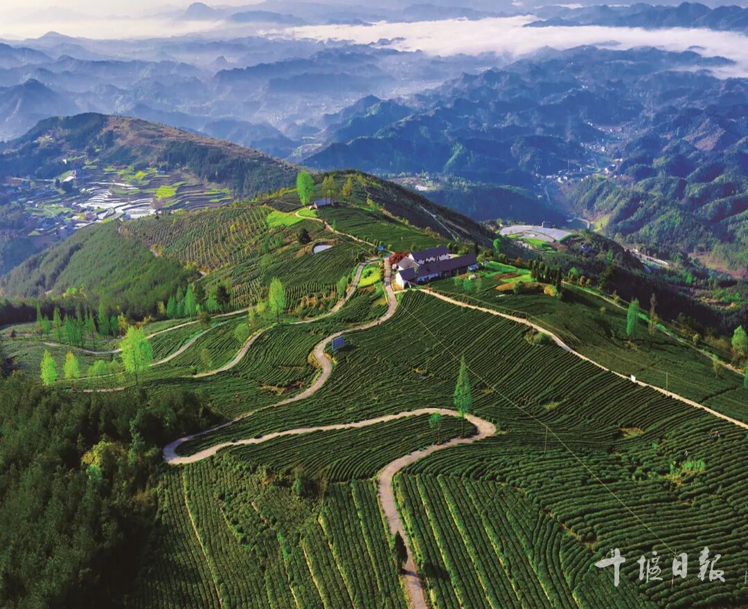 640?wx_fmt=jpeg&from=appmsg&&wxfrom=5&wx_lazy=1#imgIndex=7