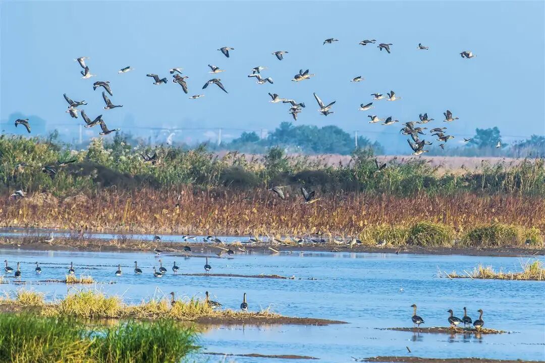 640?wx_fmt=jpeg&from=appmsg&tp=wxpic&wxfrom=5&wx_lazy=1#imgIndex