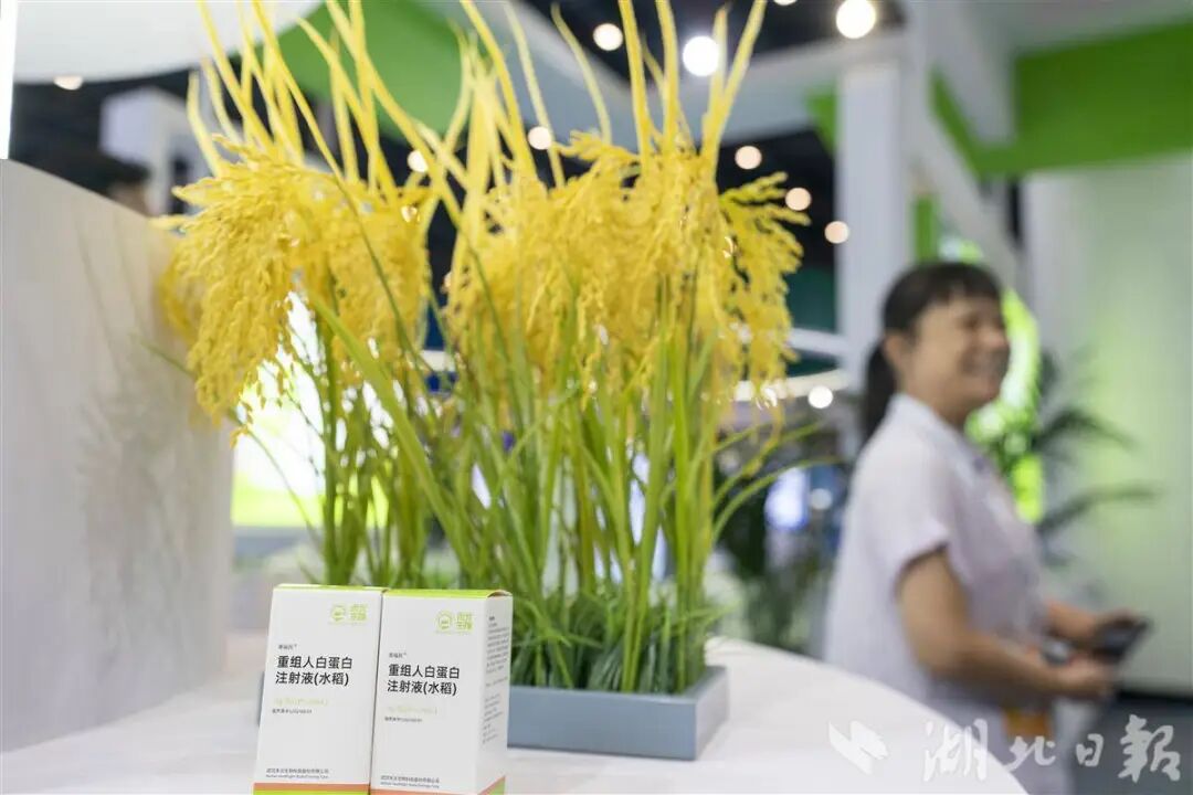 640?wx_fmt=jpeg&from=appmsg